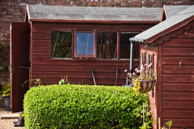 Two red-stained wooden garden sheds with windows, behind a trimmed green hedge