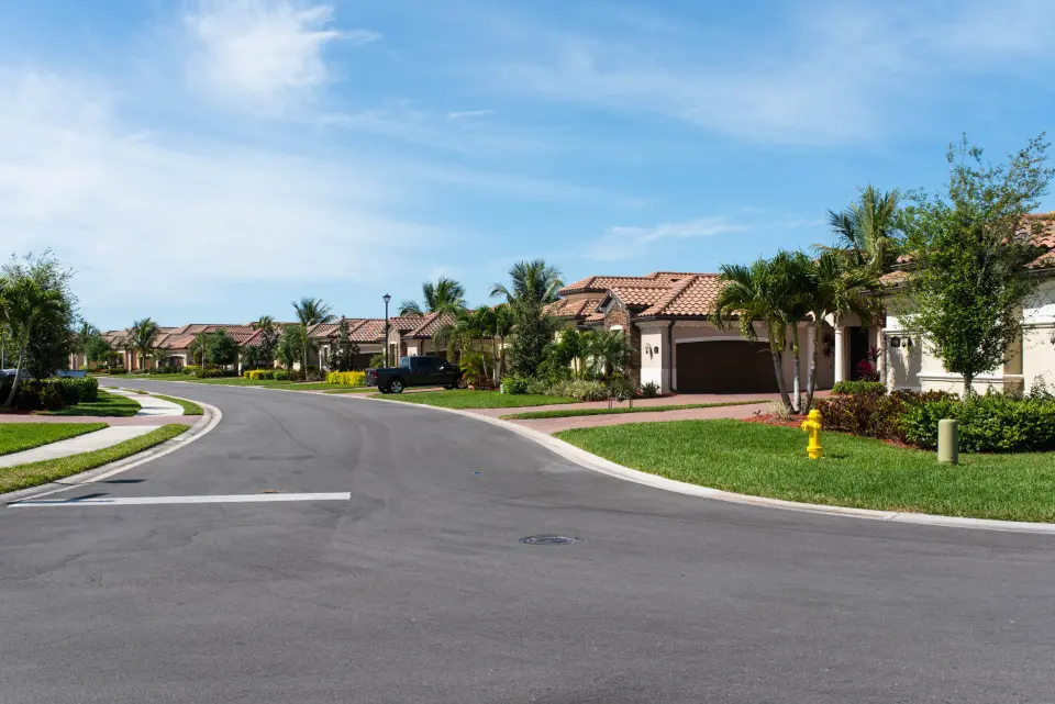 A quiet residential street with palm trees and single-story homes