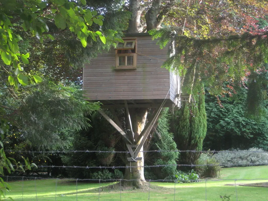 A wooden treehouse held up by a large tree and angled posts in a green backyard
